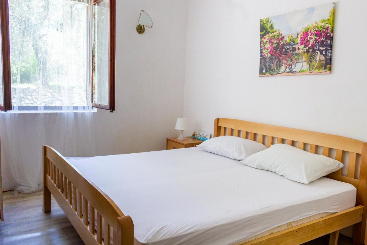 Petrovac Vuko I Magdalena Midzor 아파트 외부 사진