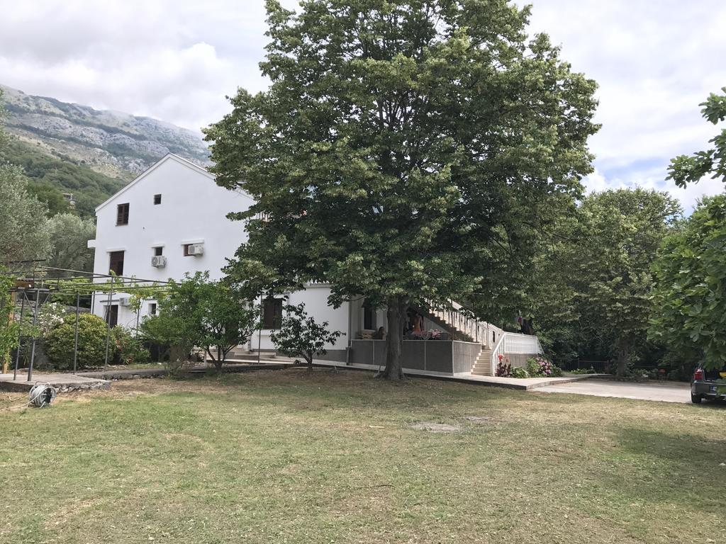 Petrovac Vuko I Magdalena Midzor 아파트 외부 사진