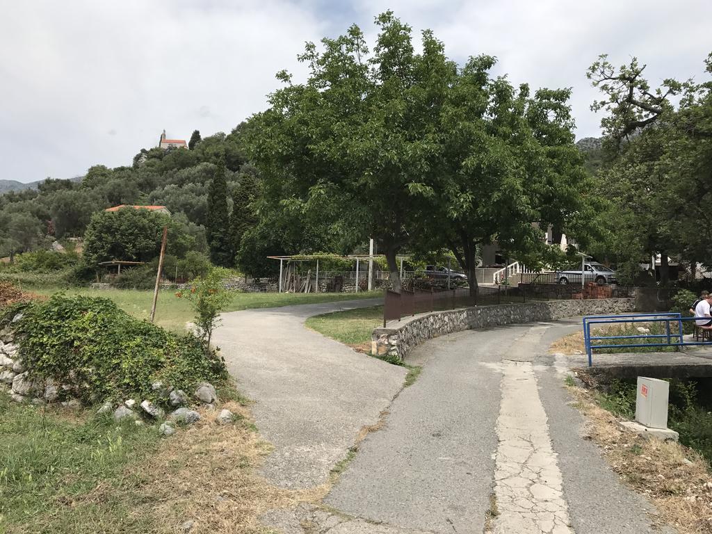 Petrovac Vuko I Magdalena Midzor 아파트 외부 사진