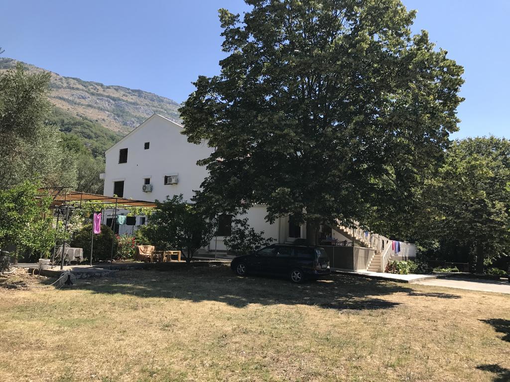 Petrovac Vuko I Magdalena Midzor 아파트 외부 사진
